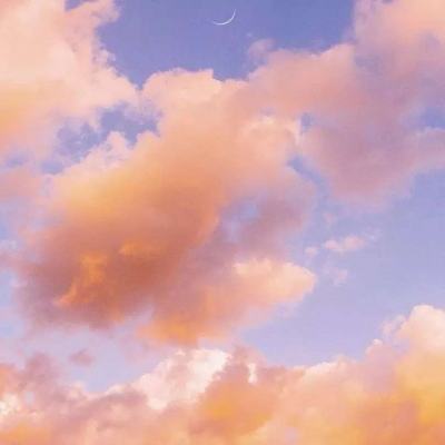 域网棋牌手机app下载