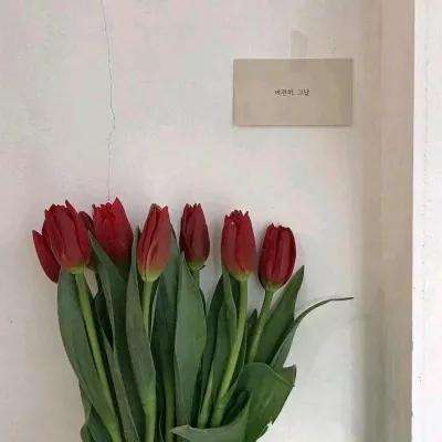 雷竞技下载app官网截图