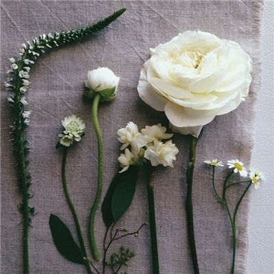 万博manbetx登录下载手机版