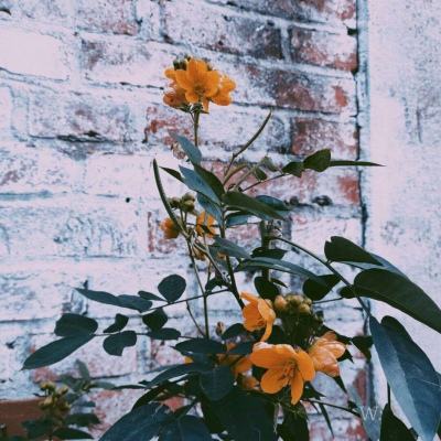 ob体育最新官网手机app下载