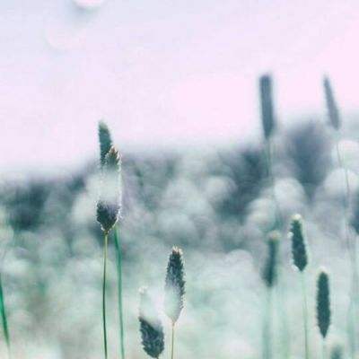 爱游戏全站APP入口苹果版app下载