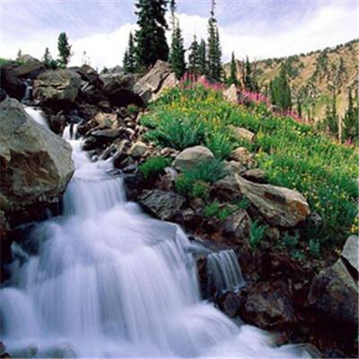 mg娱乐电子游戏网站