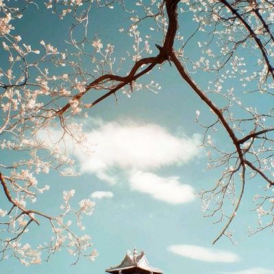 加拿大28手机app下载