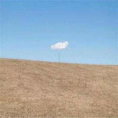 澳门银银河官方网welcomeapp下载截图