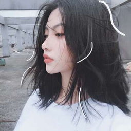 澳门精准正版资料大全app下载