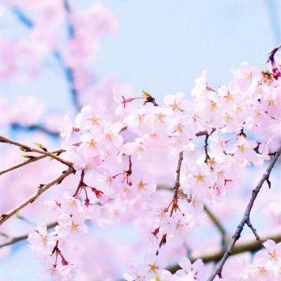 尊龙网址登录官网