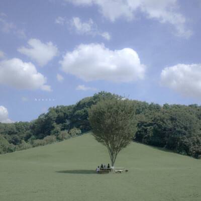 斗牛棋牌手机app下载