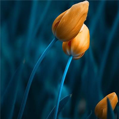 十大正规买足球网站