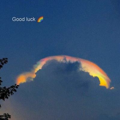 365在线手机app下载