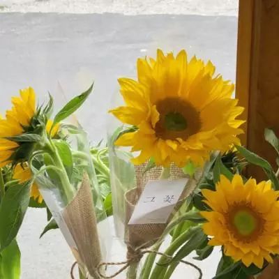 彩8官网入口·官方网站