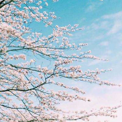 目前国家允许的购彩平台