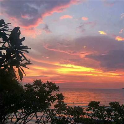 im电竞·(中国)官方网站