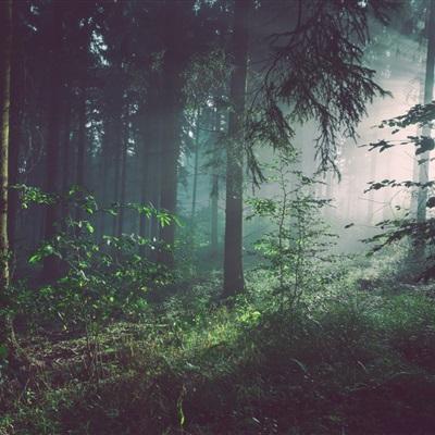 ManBetX客户端登录手机app下载