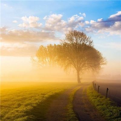 金年会app下载官网官方入口