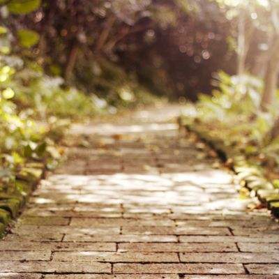 星空下载手机app下载